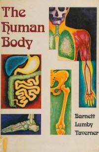 The human body : a blueprint of man's structure and function / Barnett, Lumby, Taverner