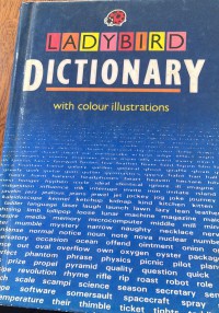 Ladybird Dictionary / Illustrations by Mike Nicholss and Judith Wood