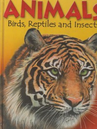 Animals : birds, reptiles and insects